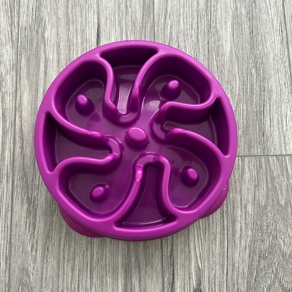 Outward Hound Slow Feeder